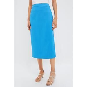 HYACINTH HOUSE Azure Christopher Midi Skirt Size M NWT Retail $148 Tuckernuck